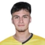 E. Aydın