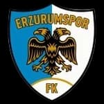 Erzurumspor FK logosu